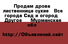 Продам дрова, лиственница,сухие - Все города Сад и огород » Другое   . Мурманская обл.